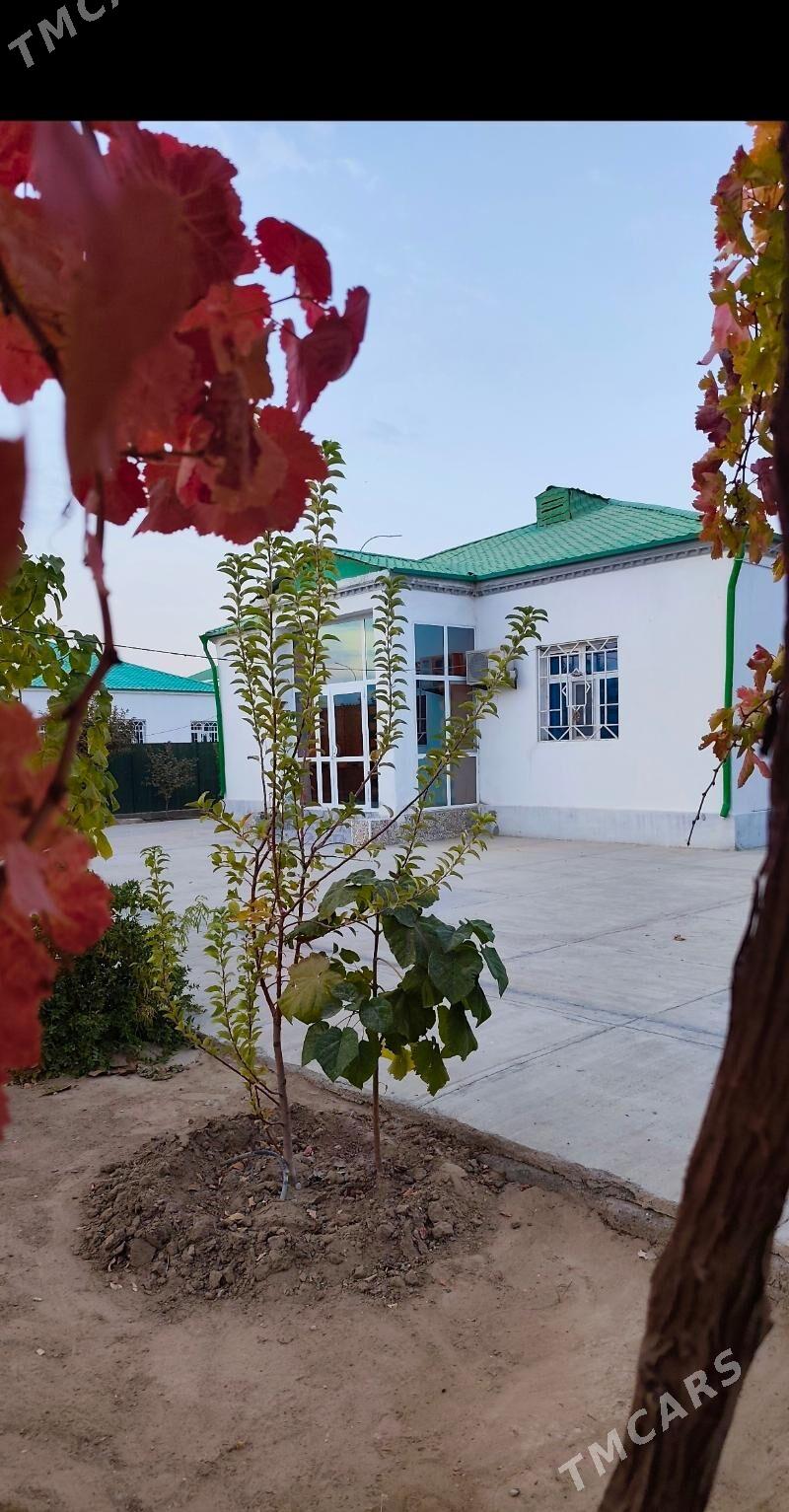 Twze zaman Plan Jay 1 tapgry - Aşgabat - img 1