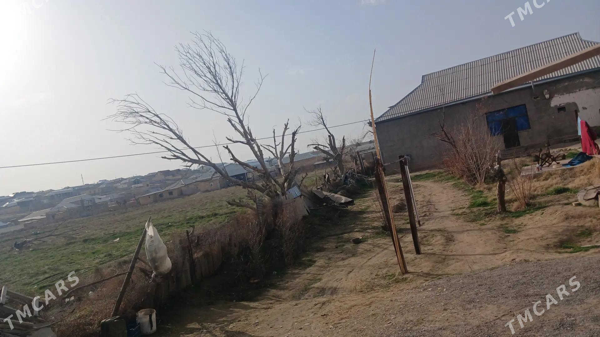 Satlyk Jay - Tagtabazar - img 1