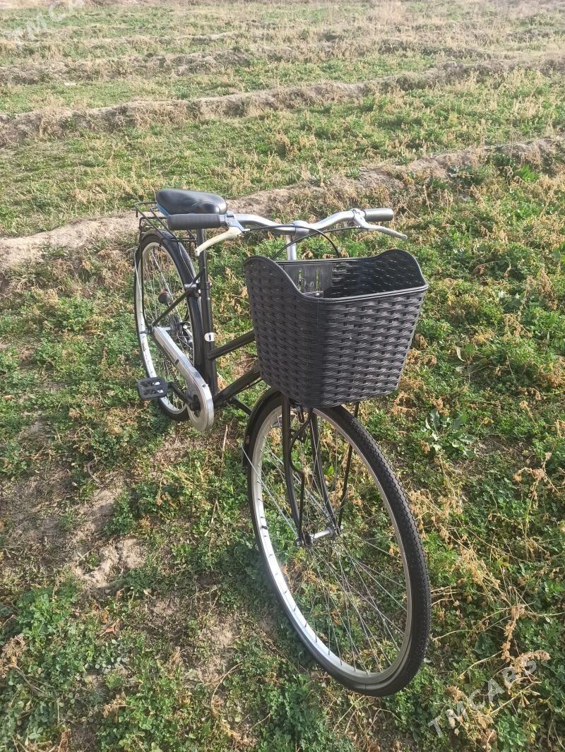 27 welsoped - Mary - img 1