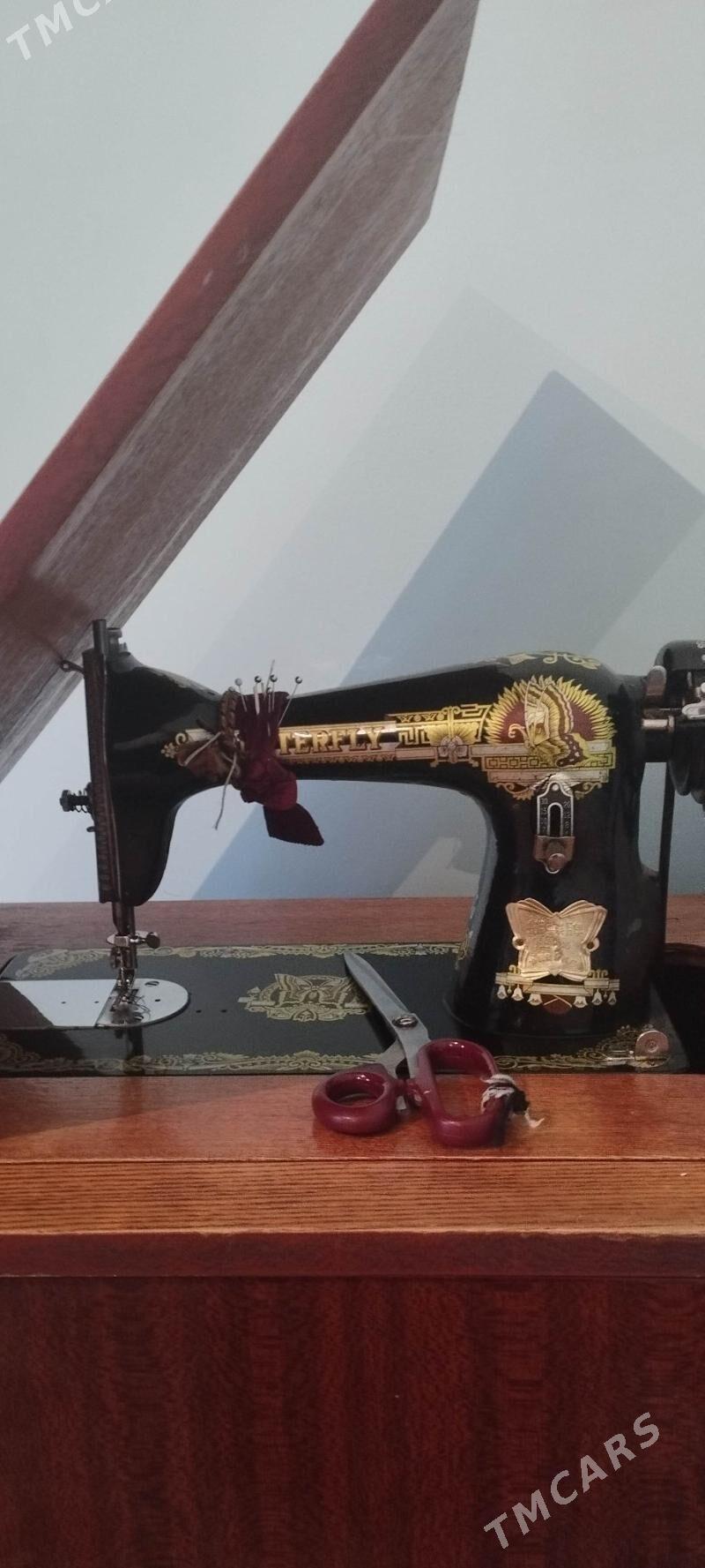 tikin masyn - Ak bugdaý etraby - img 1