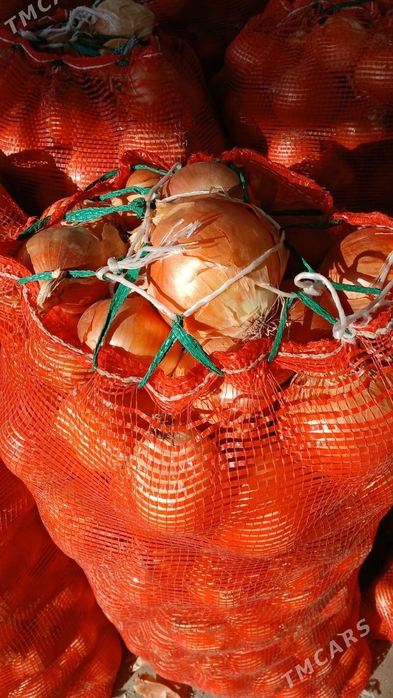 sogan - Бузмеин - img 1