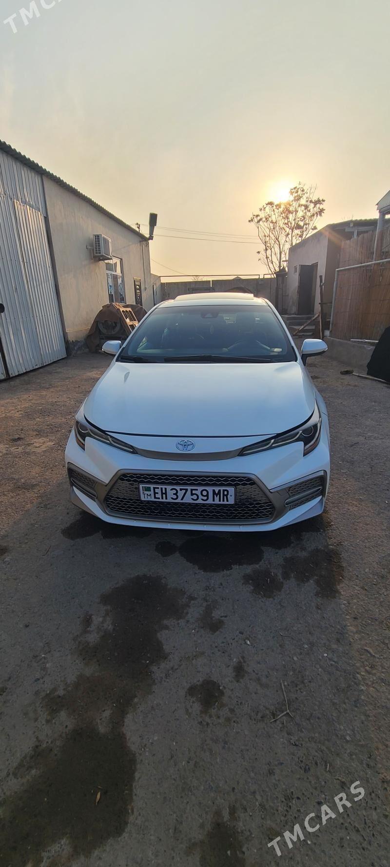 Toyota Corolla 2022 - 265 000 TMT - Mary - img 1