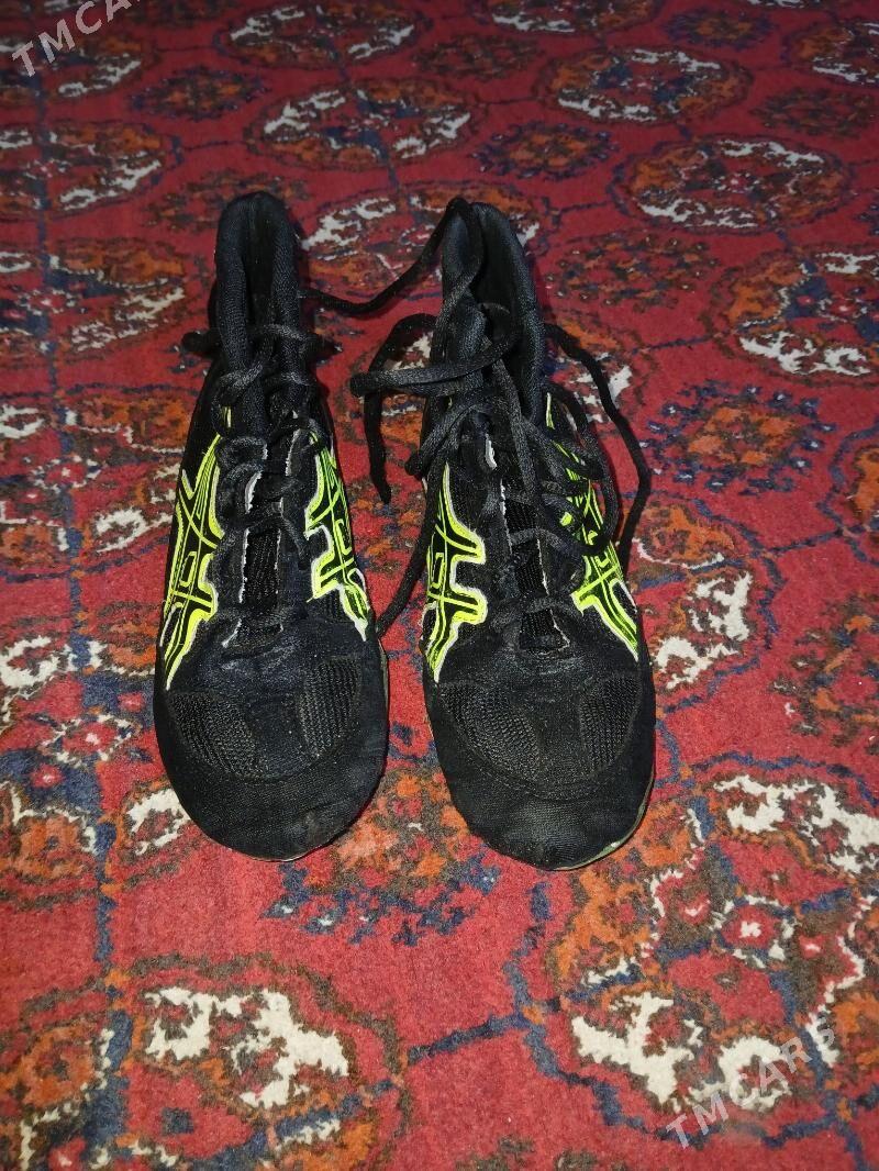 barsowka - Бузмеин ГРЭС - img 1