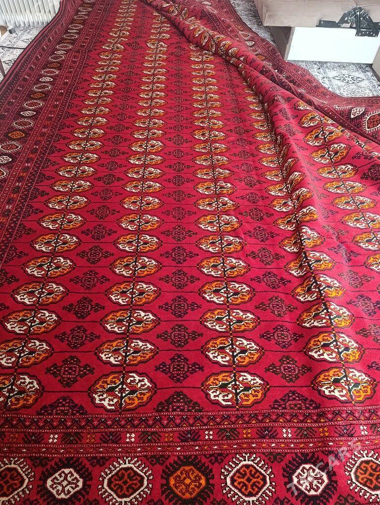 Elhaly - Gurtly - img 1