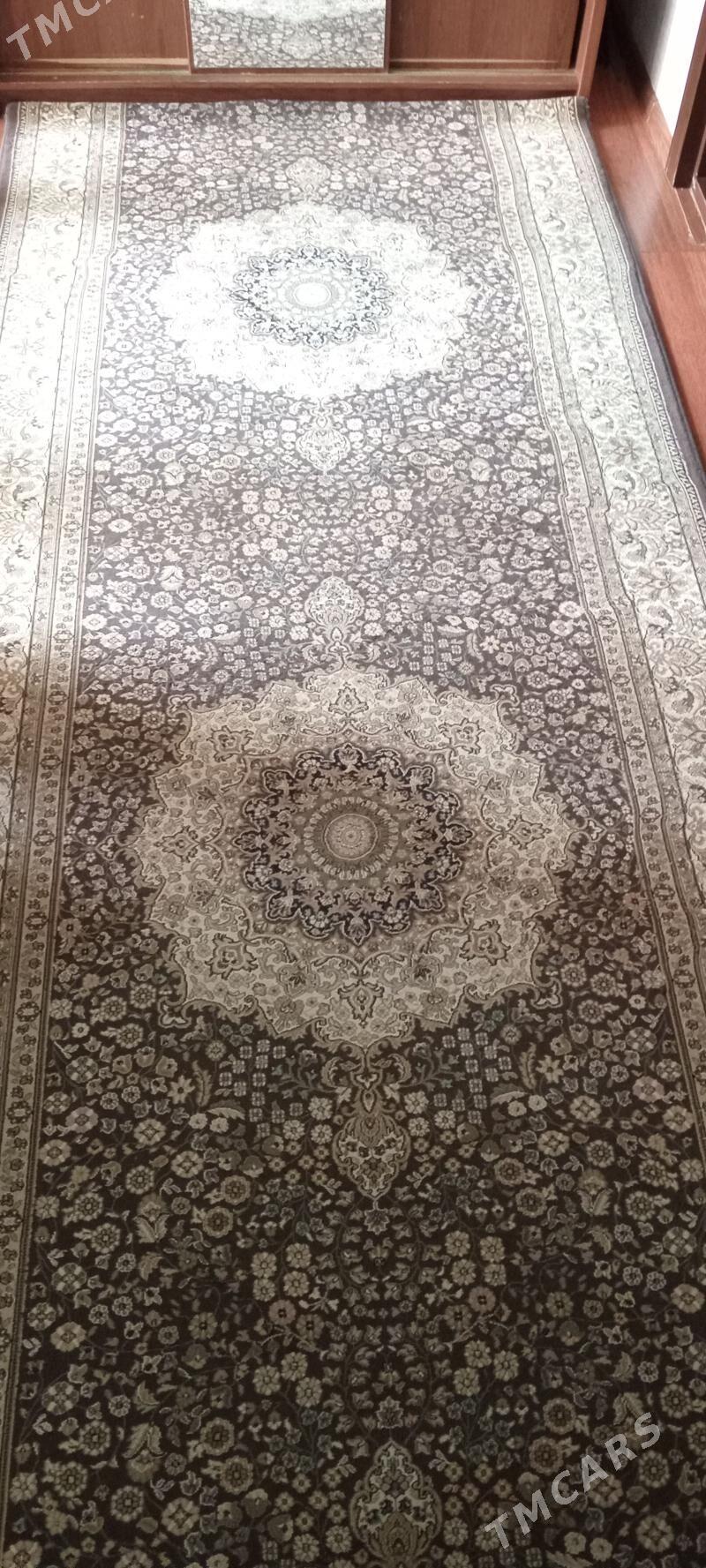 haly - Balkanabat - img 1