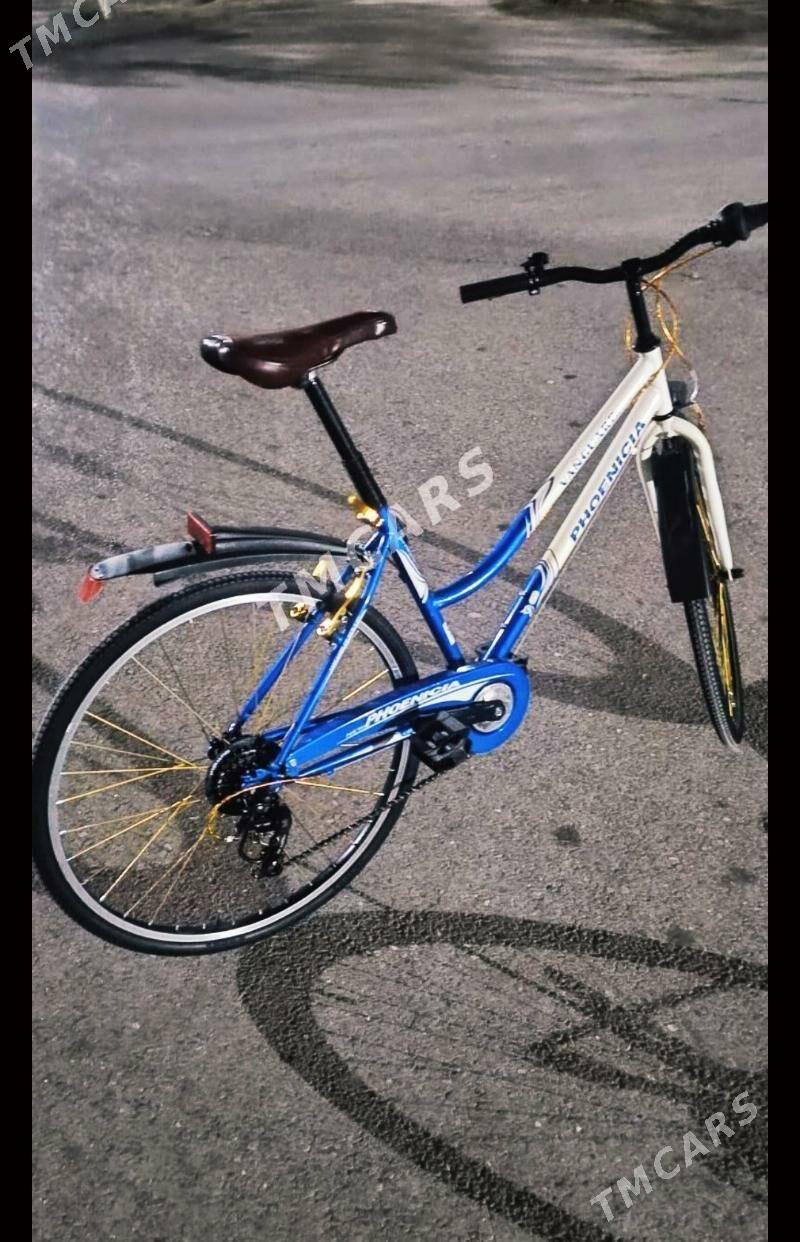 Tigir - Bejeryan. - Büzmeýin GRES - img 1