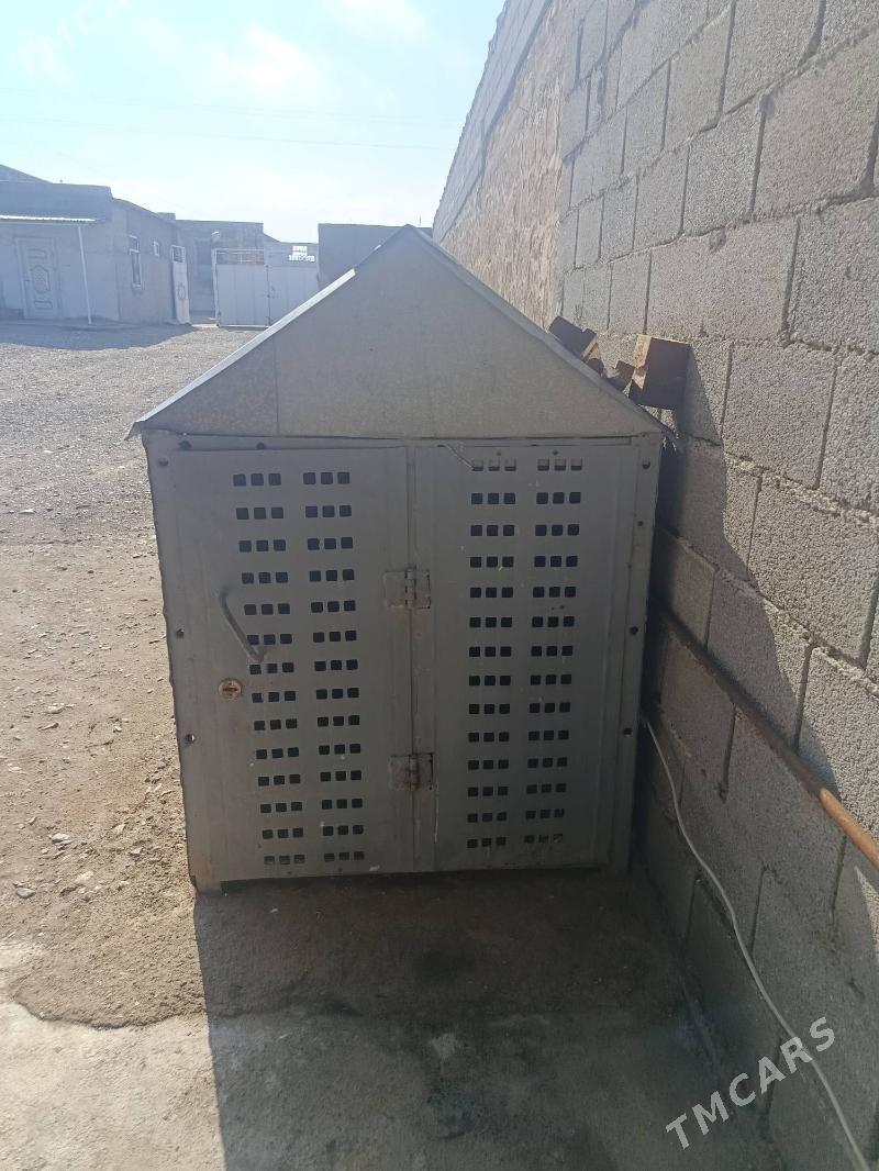 Guş yatak - Gyzylarbat - img 1