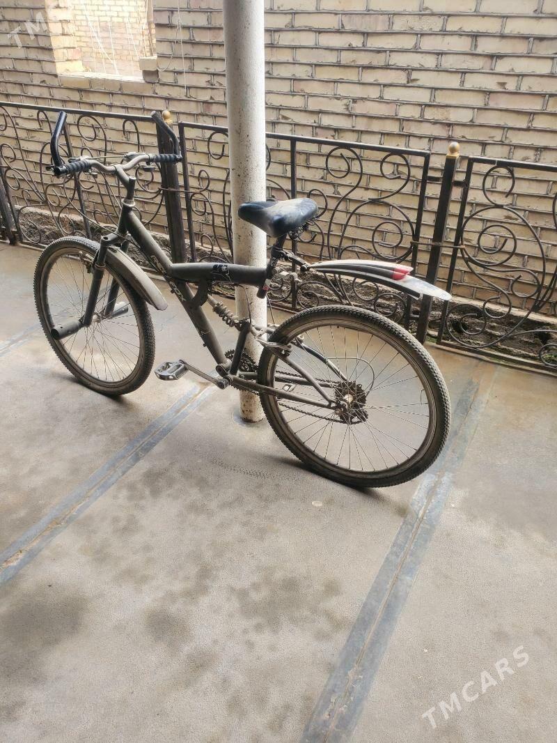 welisoped - Мары - img 1