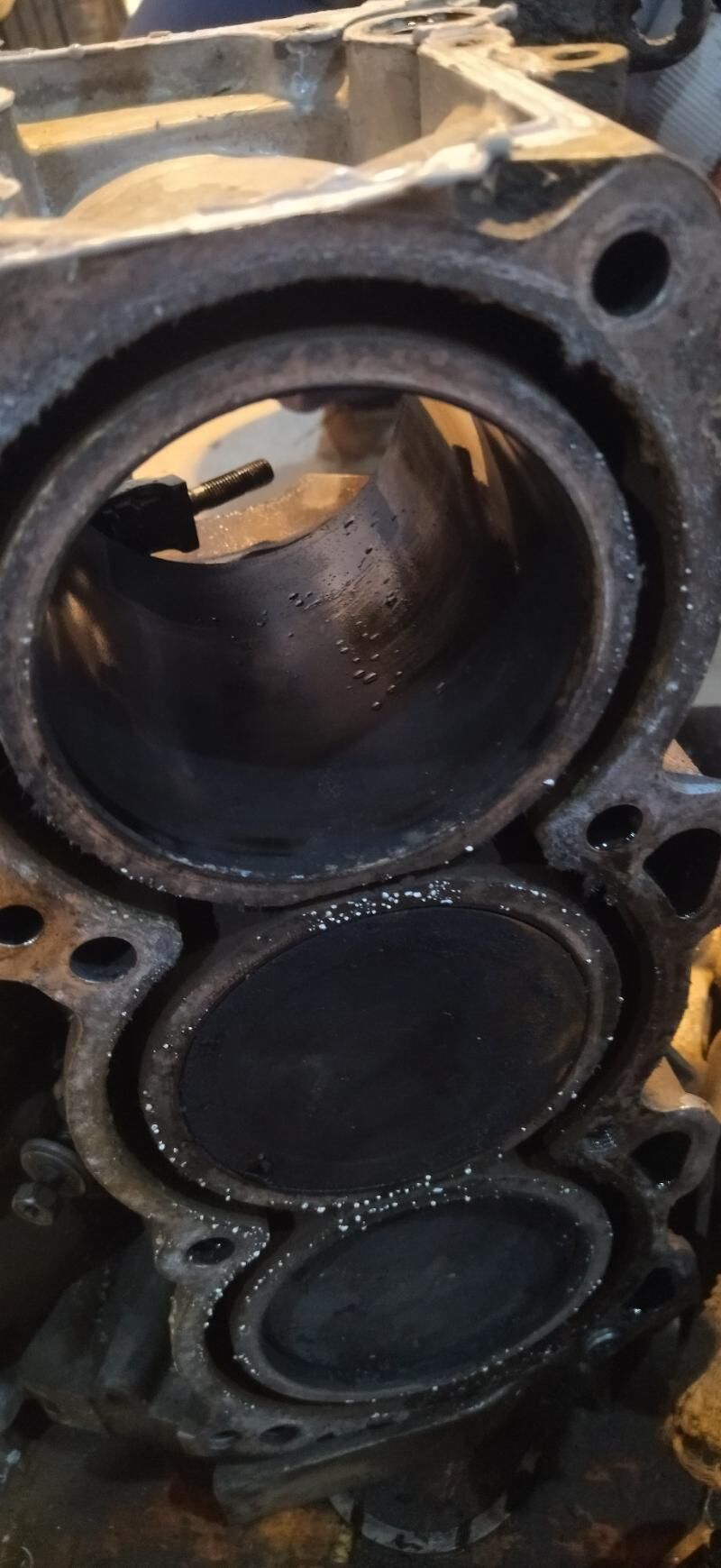 DWIGITEL MAXSIMA 3.0 2 222 TMT - Гарабекевюл - img 1