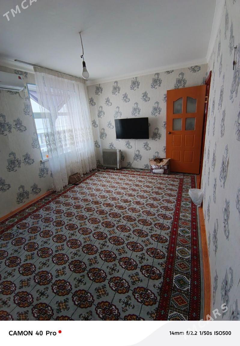 Satlyk jay - Mary - img 1