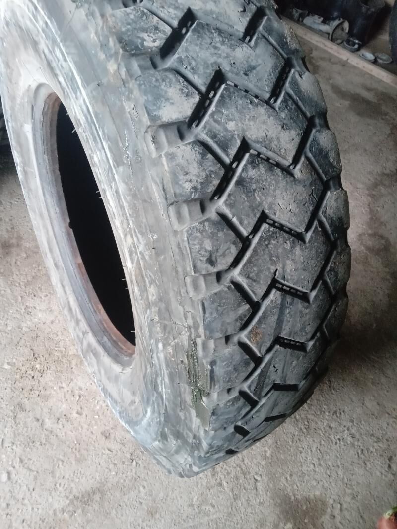 Maz 315.80 R22.5 800 TMT - Aşgabat - img 1