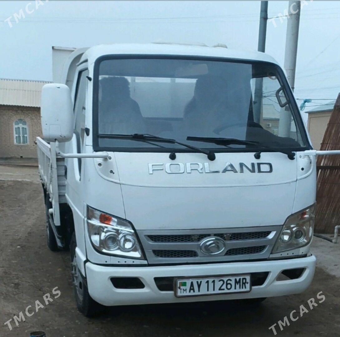 Forland H2 2013 - 115 000 TMT - Sakarçäge - img 1