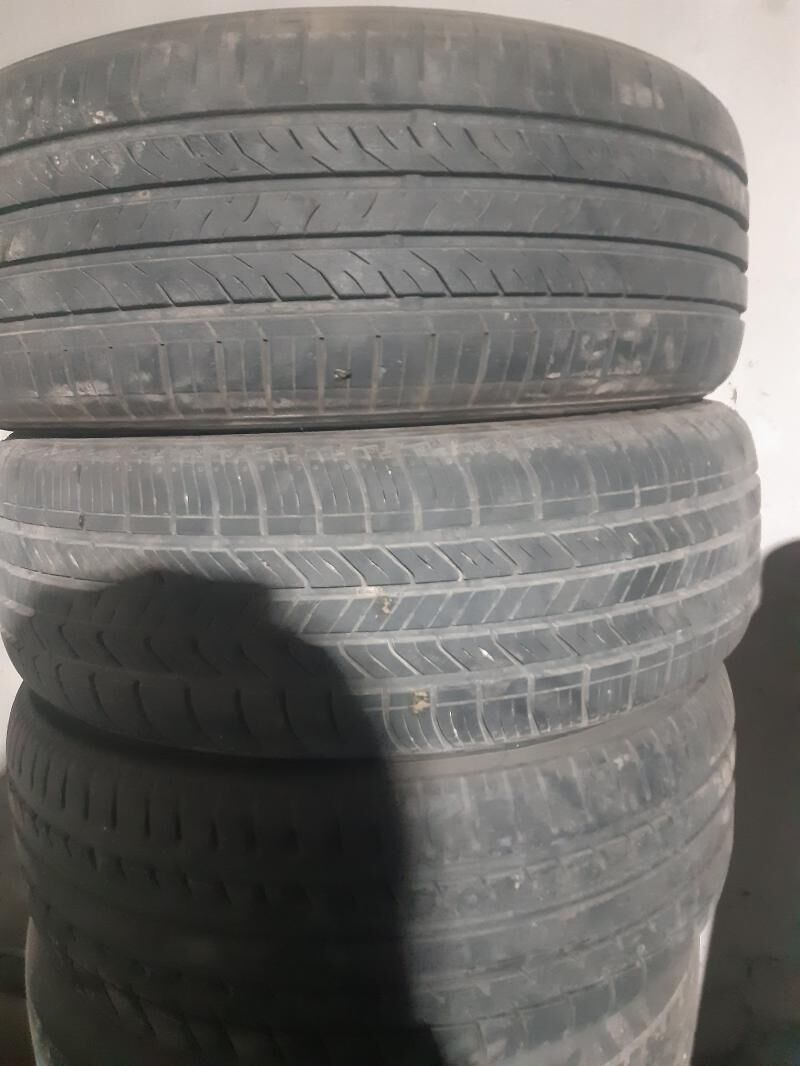 Saylun 100 TMT - Дянев - img 1