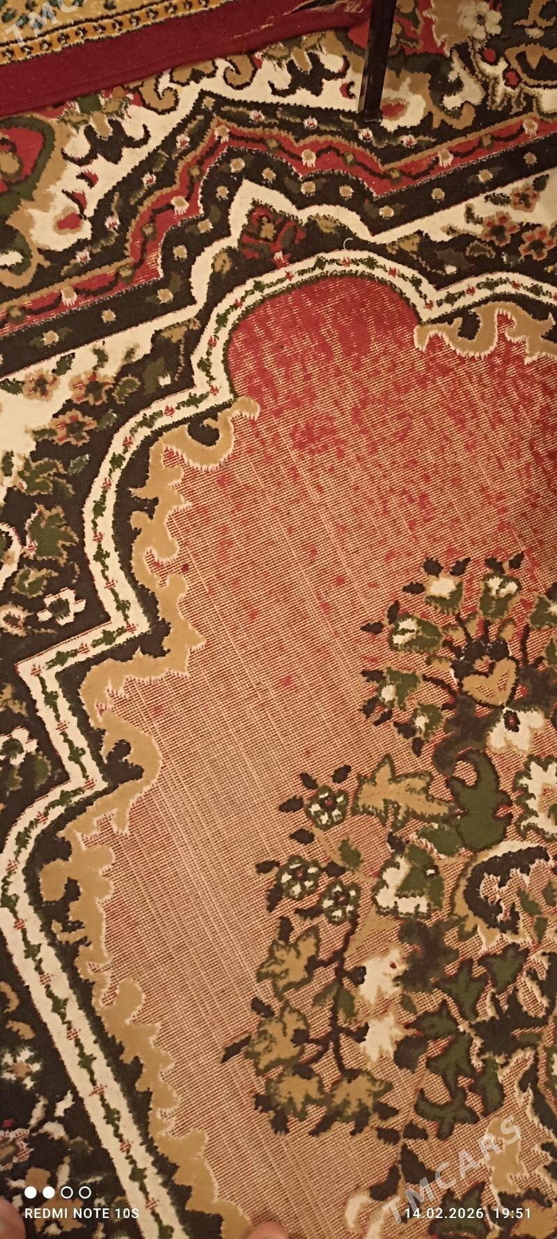 haly 3×2 - Ашхабад - img 1