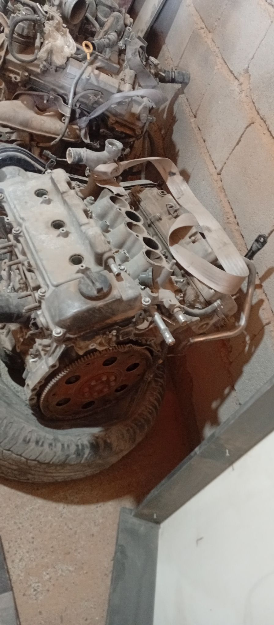 mator 3 lik babycka morda 7 500 TMT - Бедев - img 1