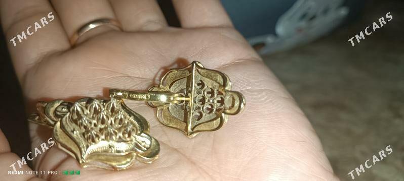 gyzyl.gulaksyrga - Bäherden - img 1