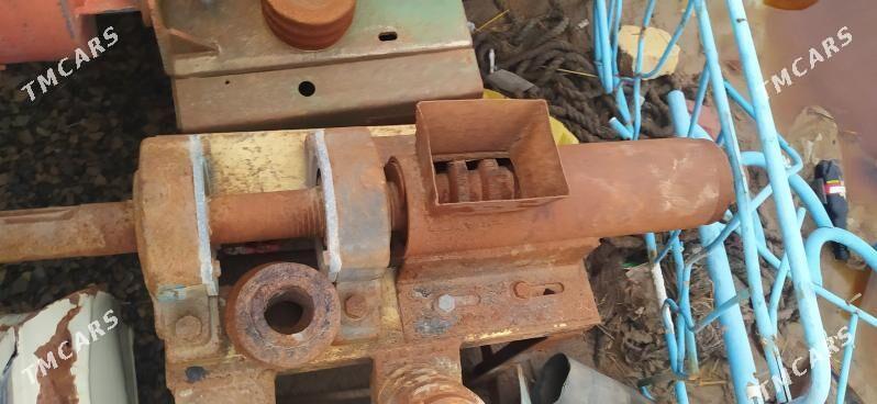 yag cykaryan - Tejen - img 1