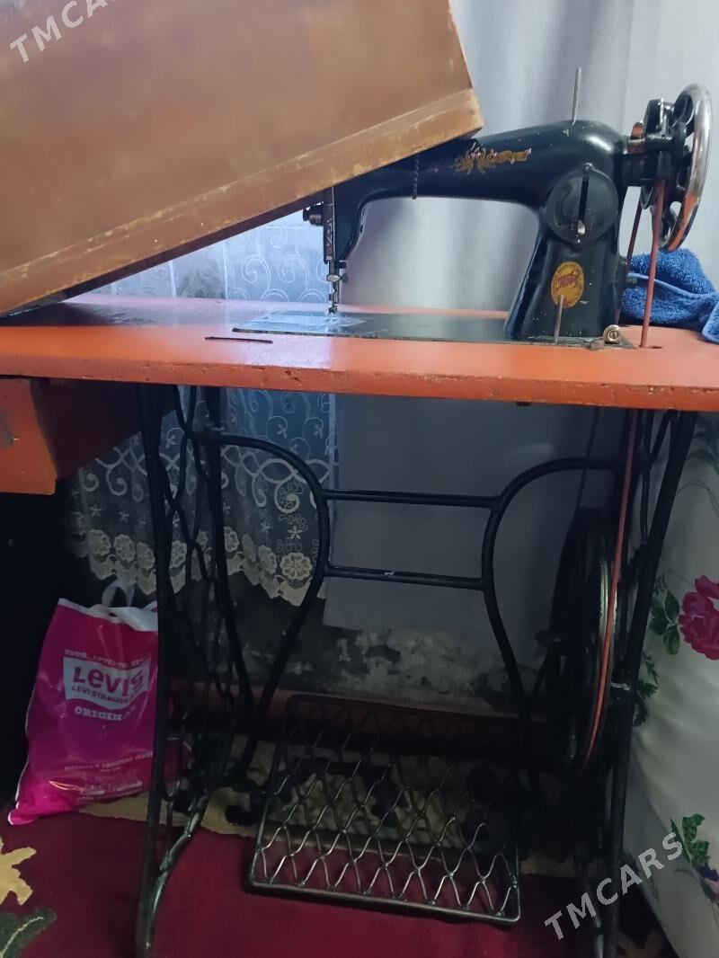 Tikin madyn - Mary - img 1