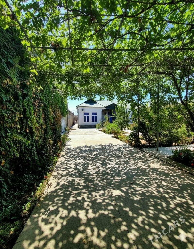 Eyesi Anew Magtymguly 8 sotok - Aşgabat - img 1