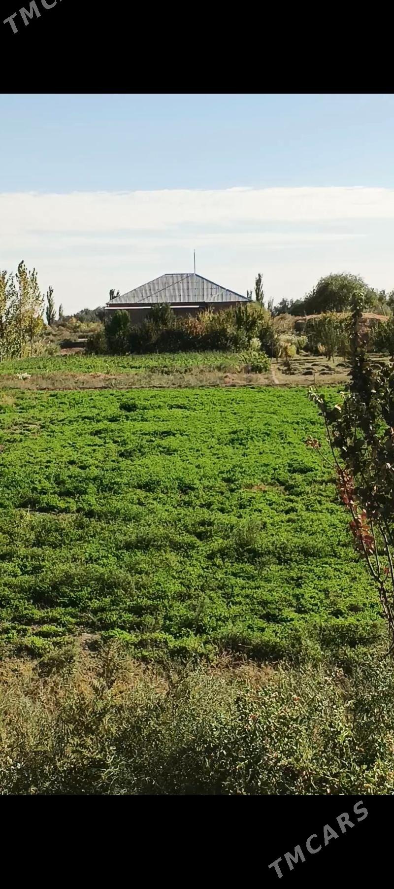 satlyk jay uçaska - Гурбансолтан Едже - img 1