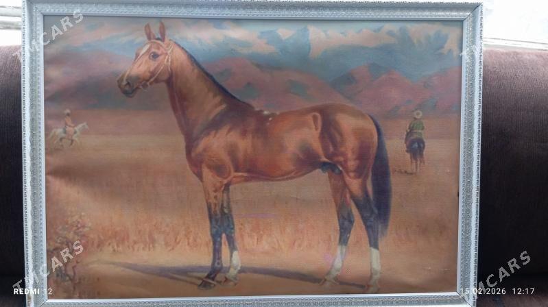 Portred - Köşi - img 1