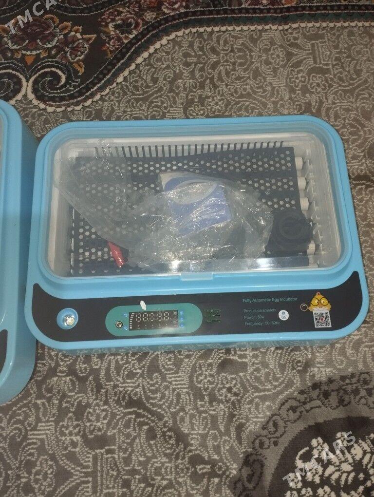 ninkebator - Mary - img 1