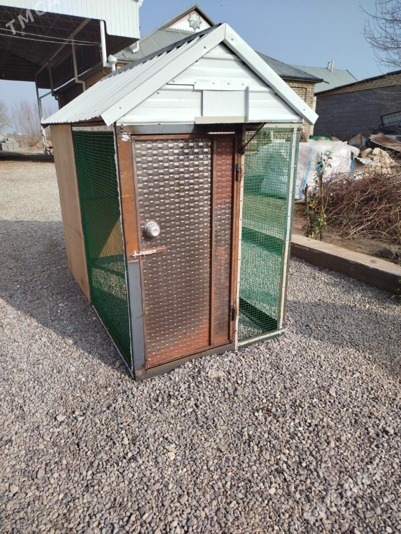 guş ketek - Wekilbazar - img 1