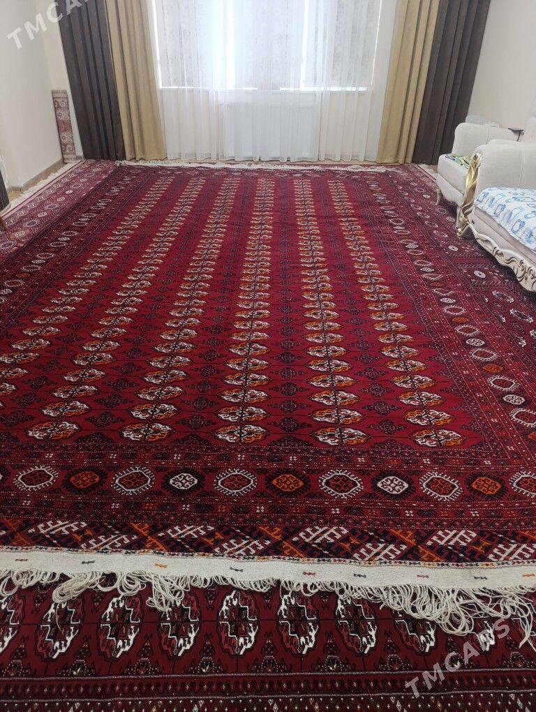 Elhaly - Gurtly - img 1