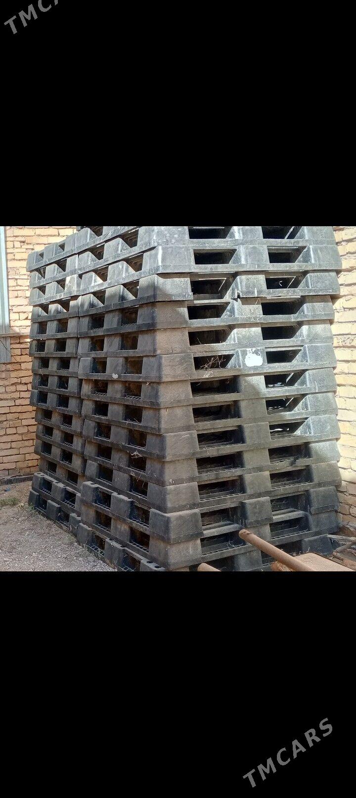 paddon - Sakar - img 1