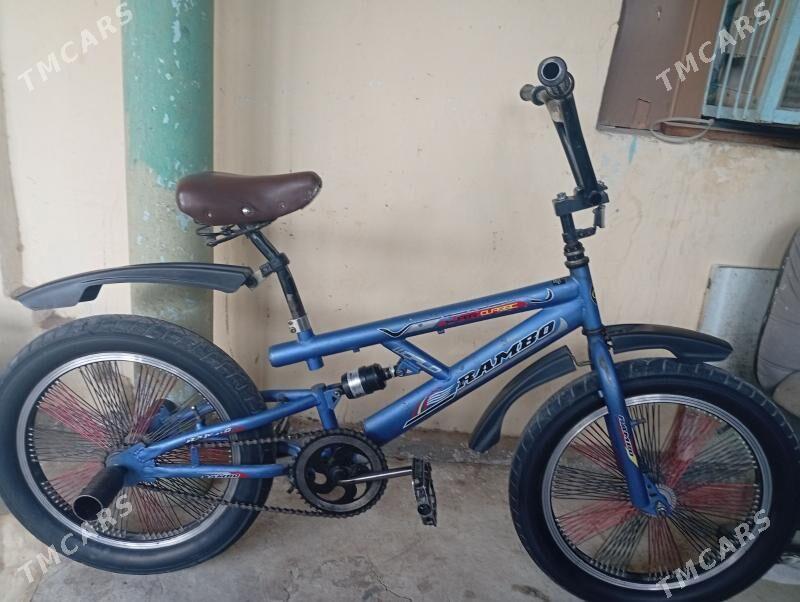 tigir - Büzmeýin - img 1