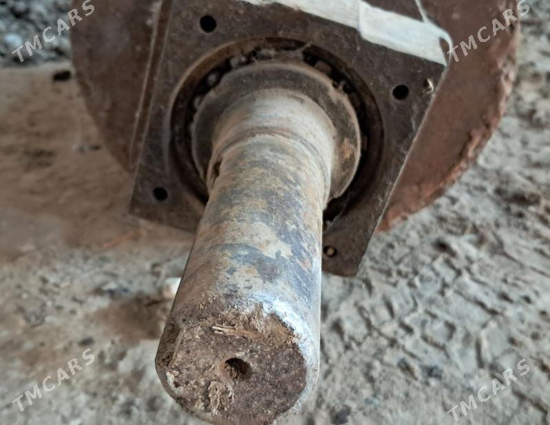 relis pasiwnikli katok 40 kg - Gurbansoltan Eje - img 1