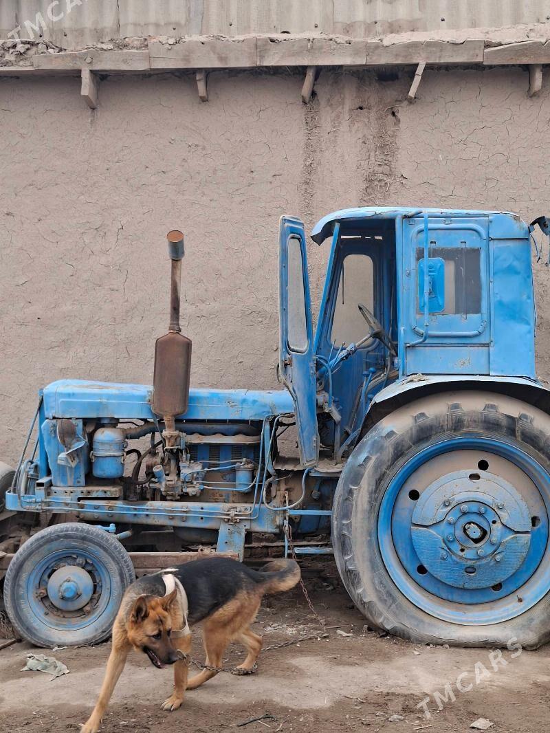 MTZ 80 2026 - 30 000 TMT - Şabat etr. - img 1