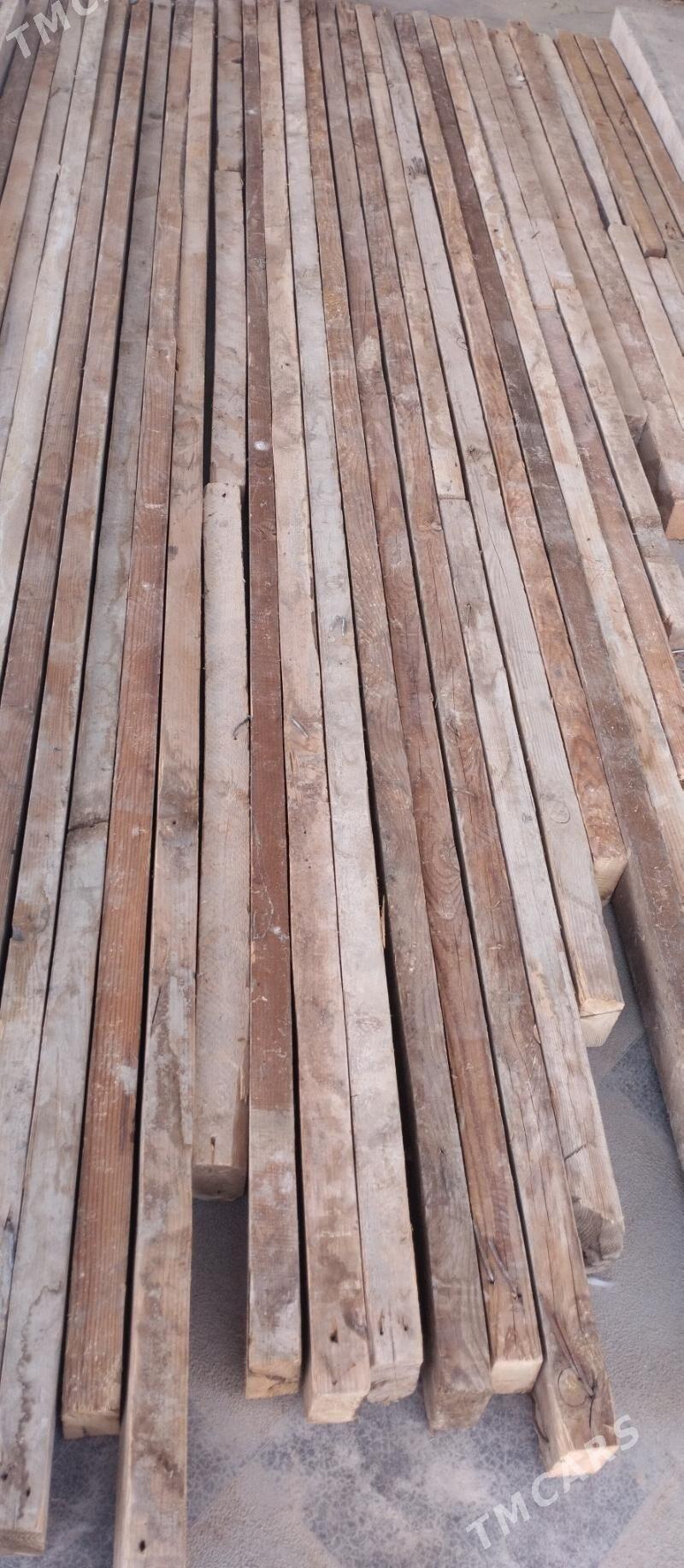 polluk agaç - Мары - img 1