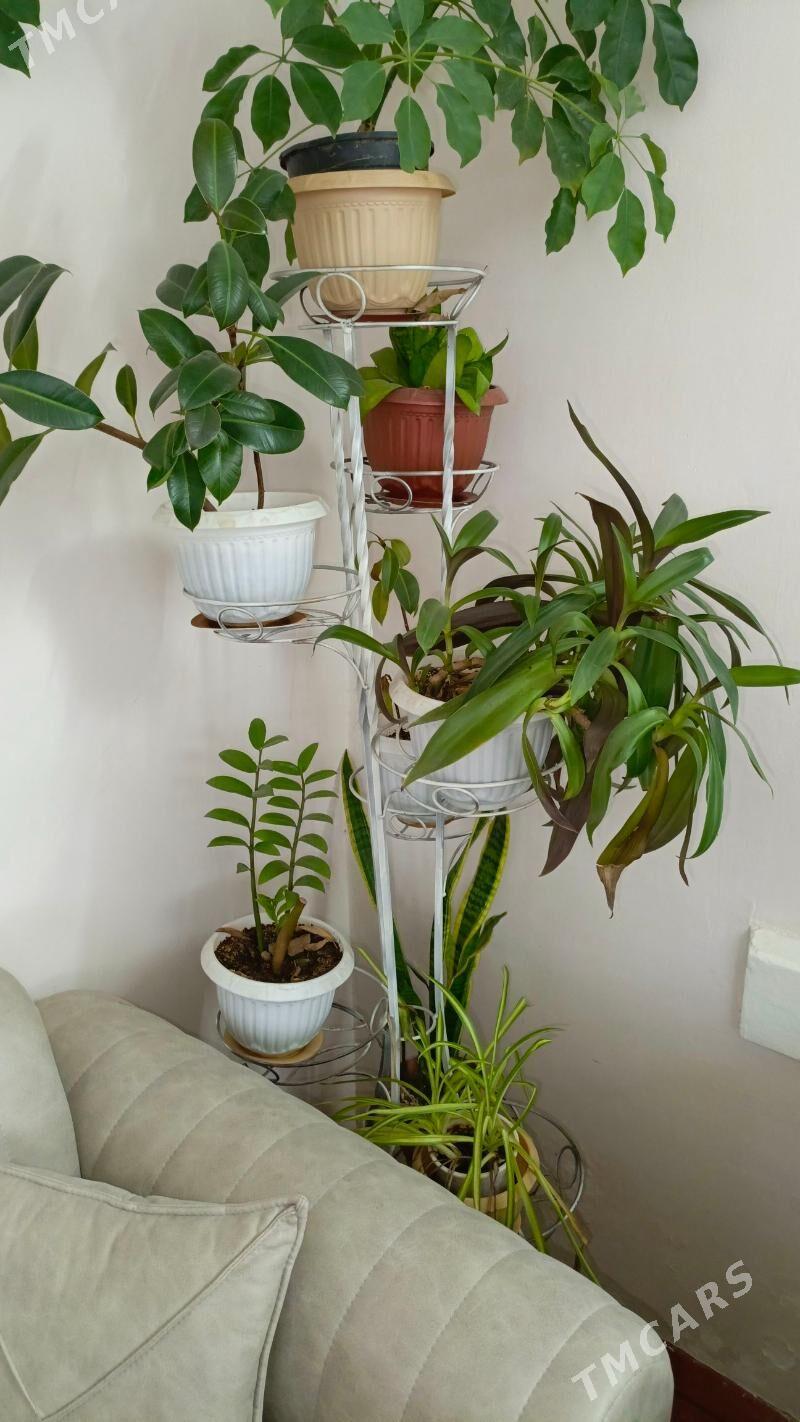 подставка для цветов - Mary - img 1