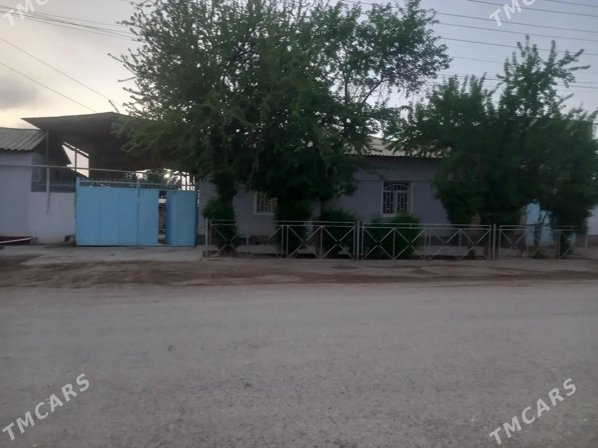 Satlyk jay - Теджен - img 1