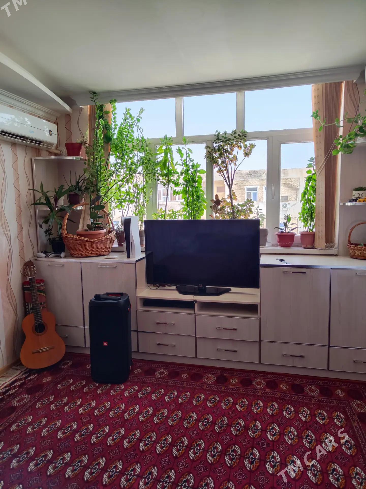 Satlyk jay - Mary - img 1