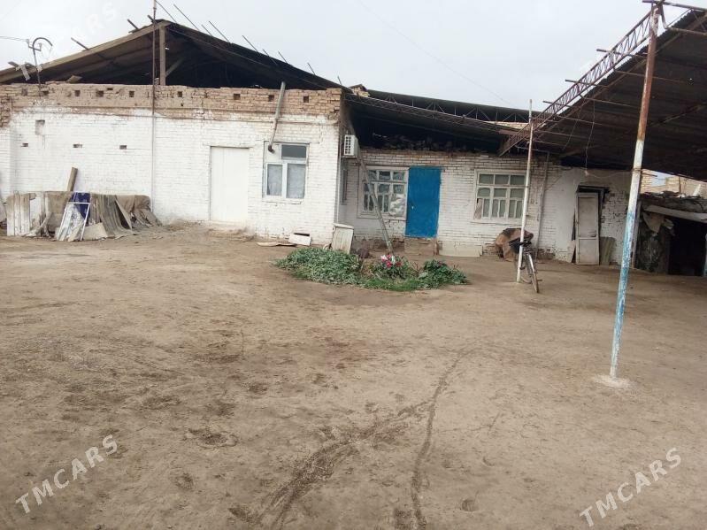 Türkmenabat - Türkmenabat - img 1