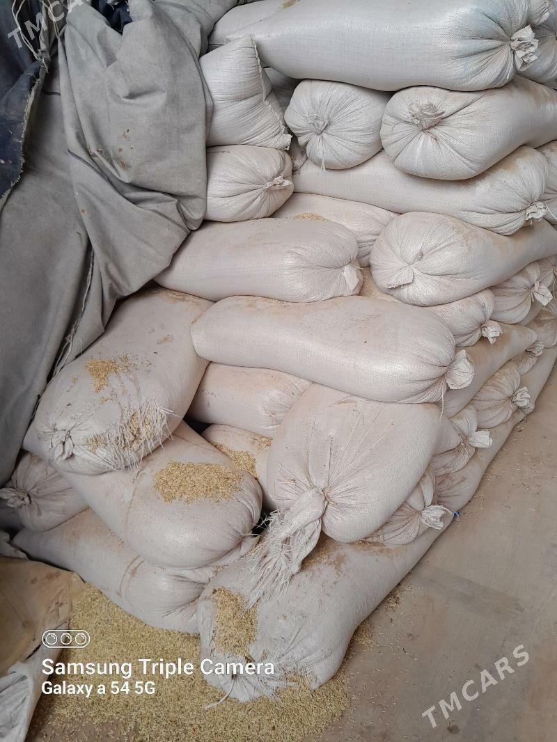 ARPA - Tejen - img 1