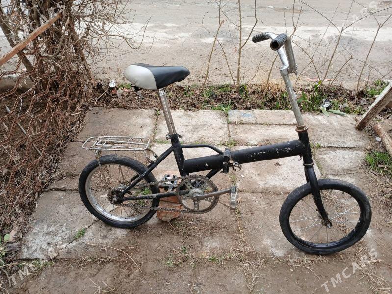 TIGIR - Анев - img 1