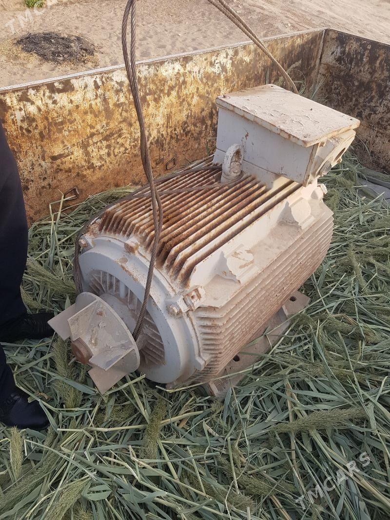 Elektrik Dwigitel - Туркменабат - img 1