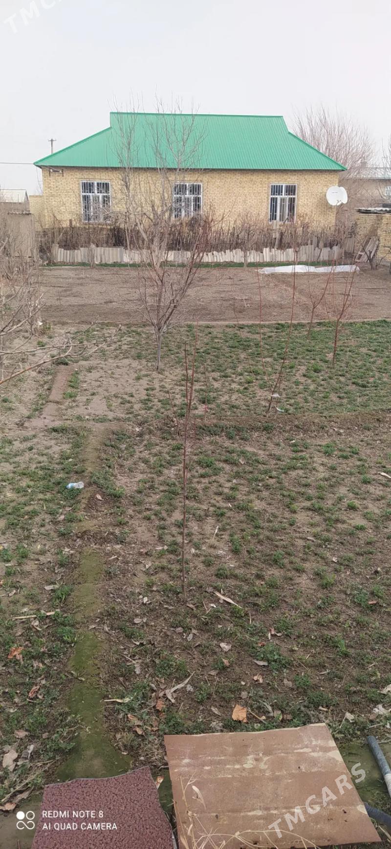 DACA - Türkmenabat - img 1