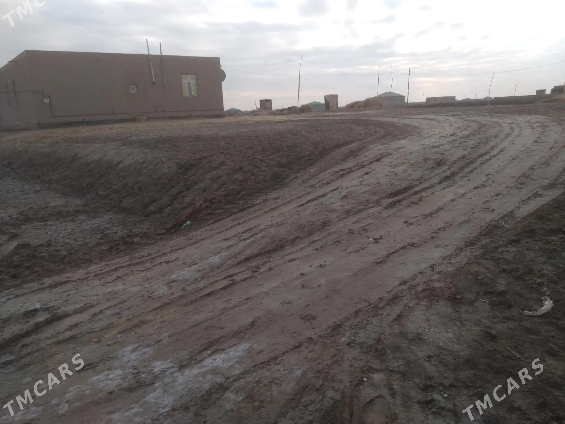 Mellek - Görogly (Tagta) - img 1