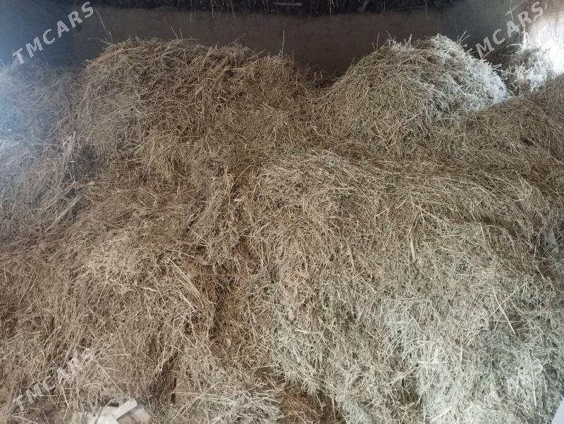 OT satlyk - Ёлётен - img 1