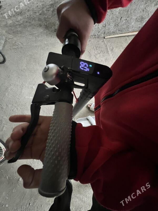 scoter - Гарадамак Шор - img 1