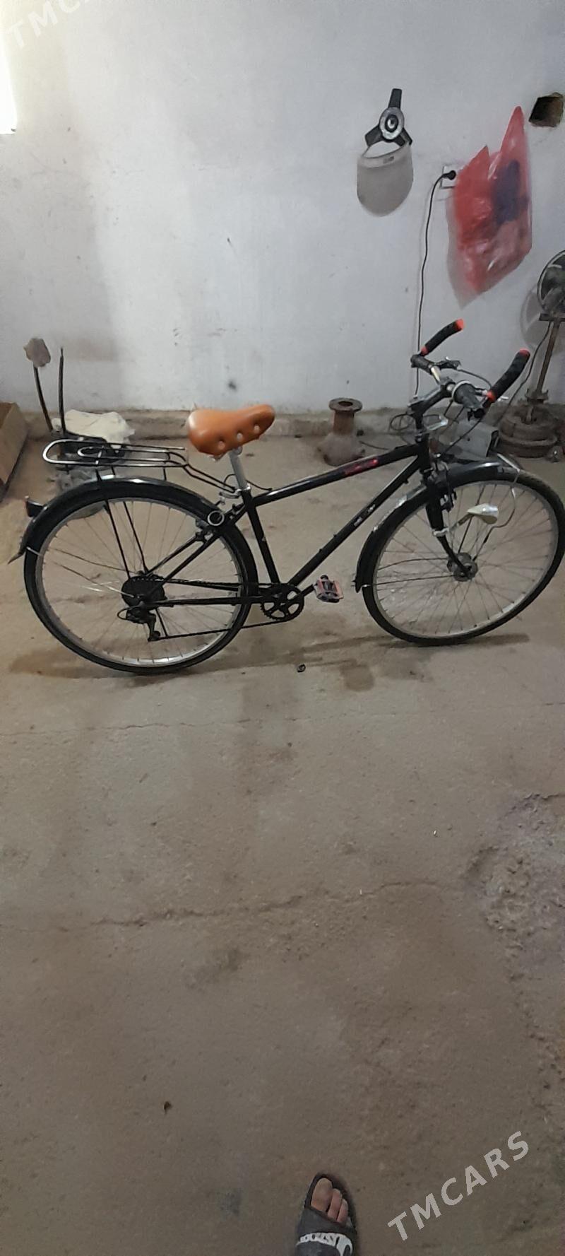 28 lik welik - Сакарчага - img 1