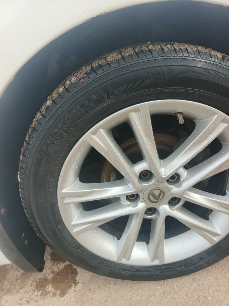 17 lik disga pakryskasy 1 TMT - Mary - img 1