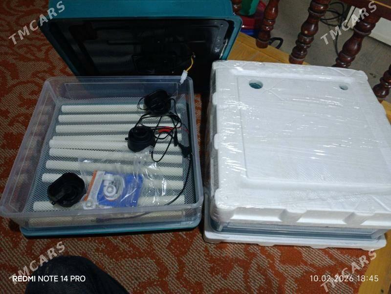 inkubator taze - Sakar - img 1