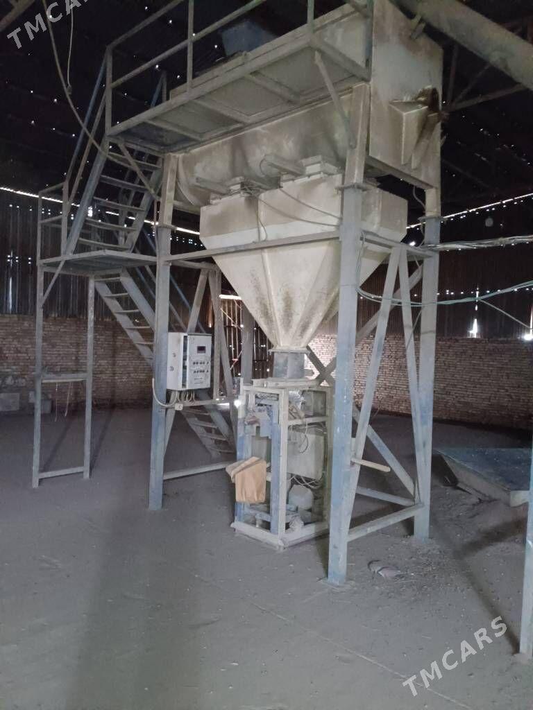 kalakum stanok tayyar - Ýaşlyk - img 1