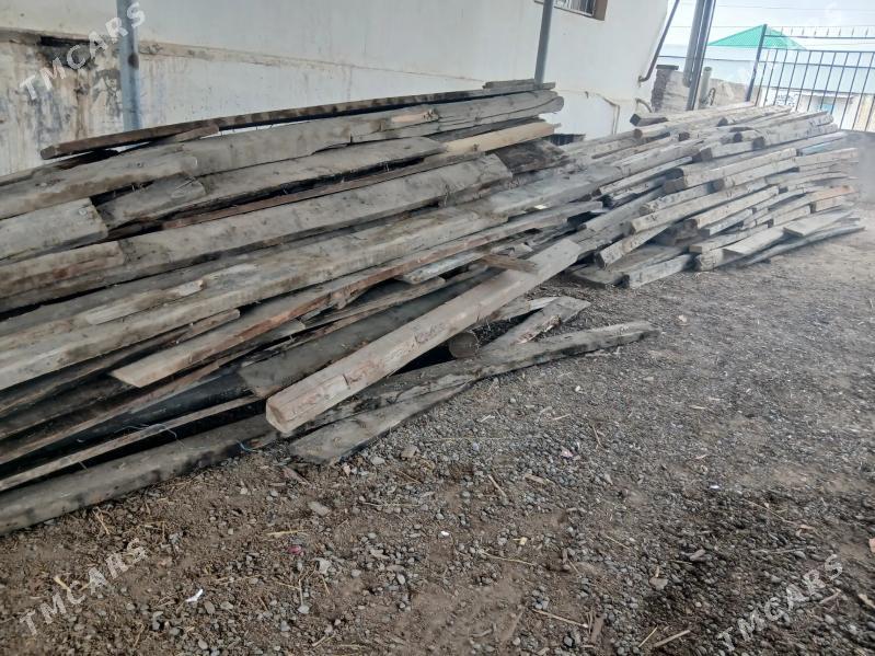 agac - Änew - img 1