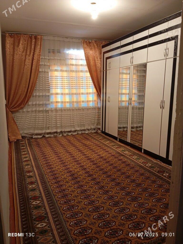 Tejen jay - Tejen - img 1